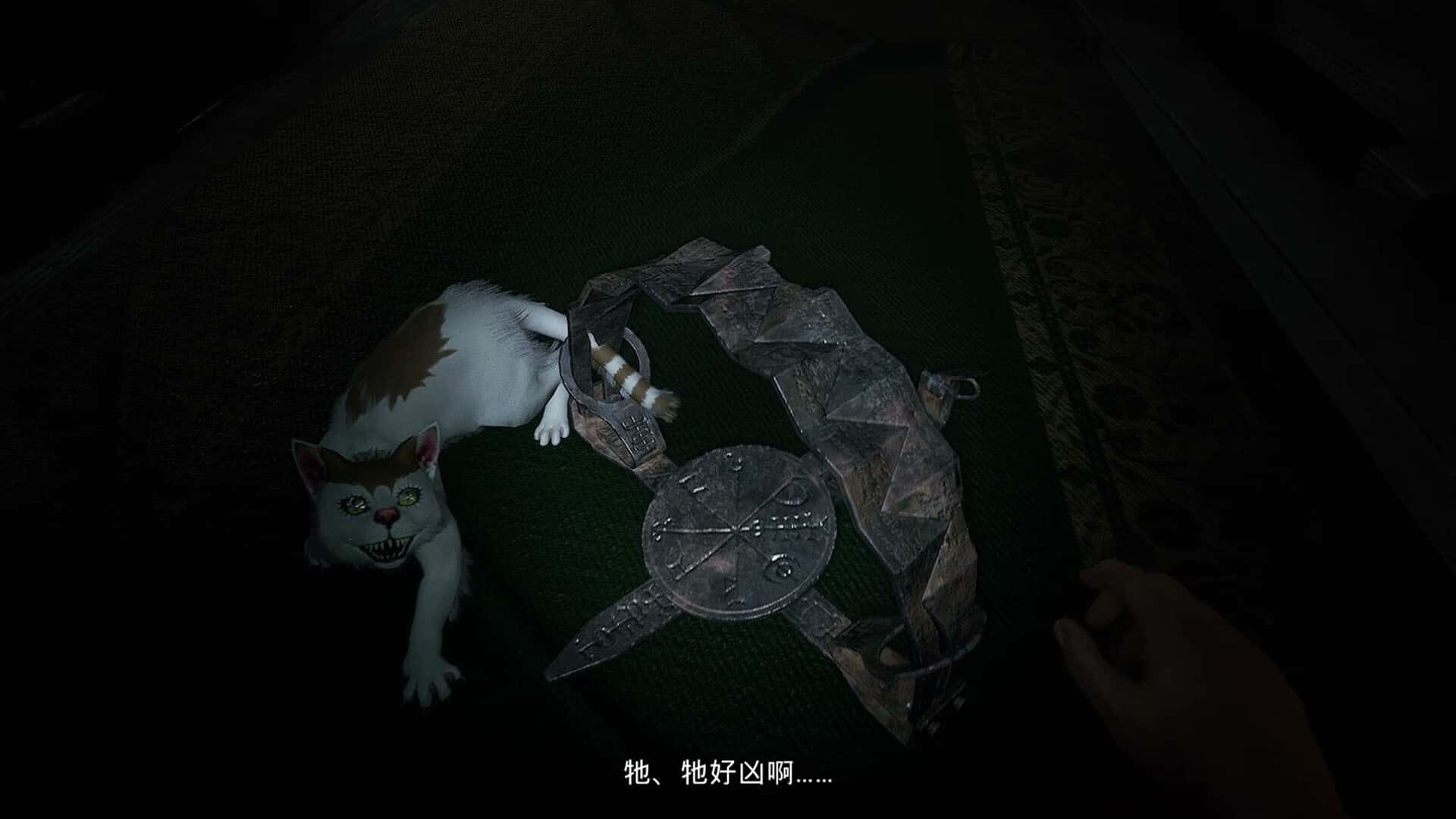 视觉数据2